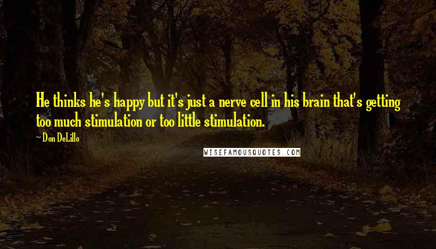 Don DeLillo Quotes: He thinks he's happy but it's just a nerve cell in his brain that's getting too much stimulation or too little stimulation.