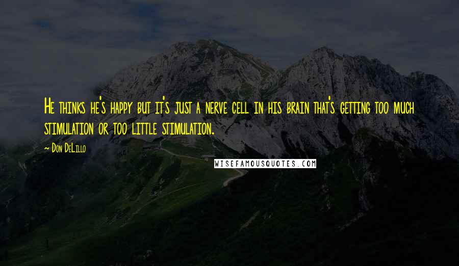 Don DeLillo Quotes: He thinks he's happy but it's just a nerve cell in his brain that's getting too much stimulation or too little stimulation.