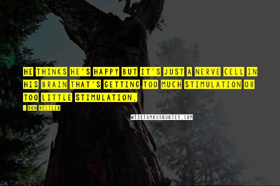 Don DeLillo Quotes: He thinks he's happy but it's just a nerve cell in his brain that's getting too much stimulation or too little stimulation.