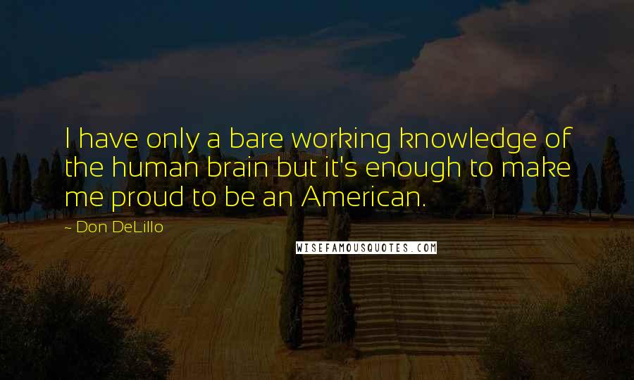 Don DeLillo Quotes: I have only a bare working knowledge of the human brain but it's enough to make me proud to be an American.
