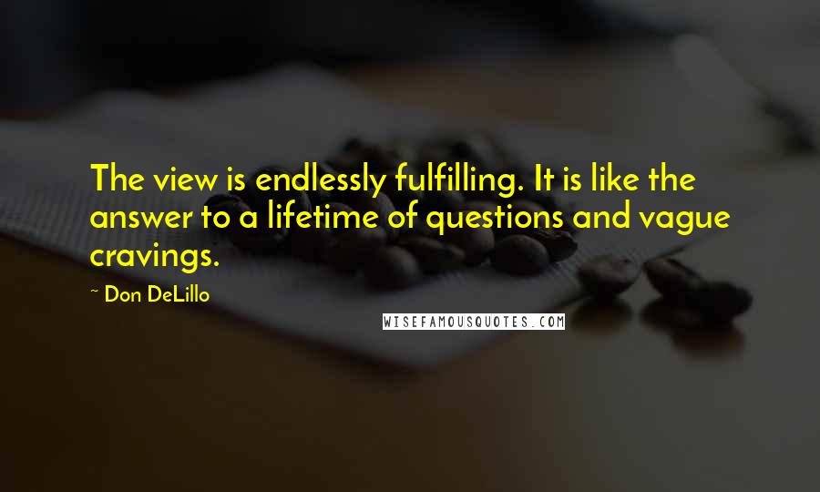 Don DeLillo Quotes: The view is endlessly fulfilling. It is like the answer to a lifetime of questions and vague cravings.