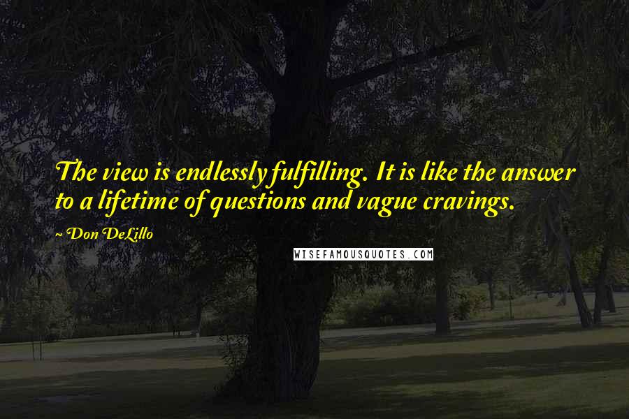 Don DeLillo Quotes: The view is endlessly fulfilling. It is like the answer to a lifetime of questions and vague cravings.