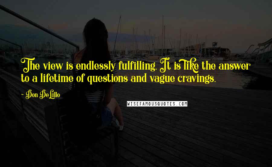 Don DeLillo Quotes: The view is endlessly fulfilling. It is like the answer to a lifetime of questions and vague cravings.