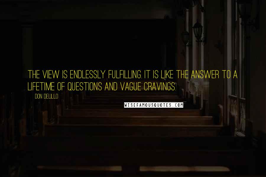 Don DeLillo Quotes: The view is endlessly fulfilling. It is like the answer to a lifetime of questions and vague cravings.