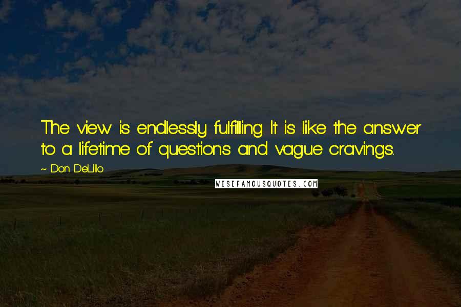 Don DeLillo Quotes: The view is endlessly fulfilling. It is like the answer to a lifetime of questions and vague cravings.