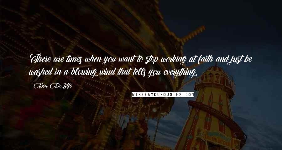 Don DeLillo Quotes: There are times when you want to stop working at faith and just be washed in a blowing wind that tells you everything.