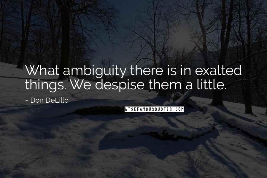 Don DeLillo Quotes: What ambiguity there is in exalted things. We despise them a little.