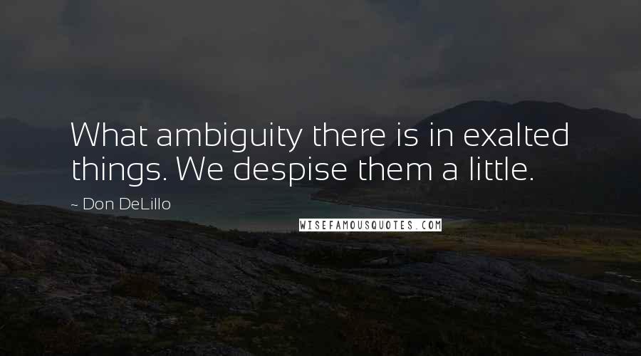 Don DeLillo Quotes: What ambiguity there is in exalted things. We despise them a little.