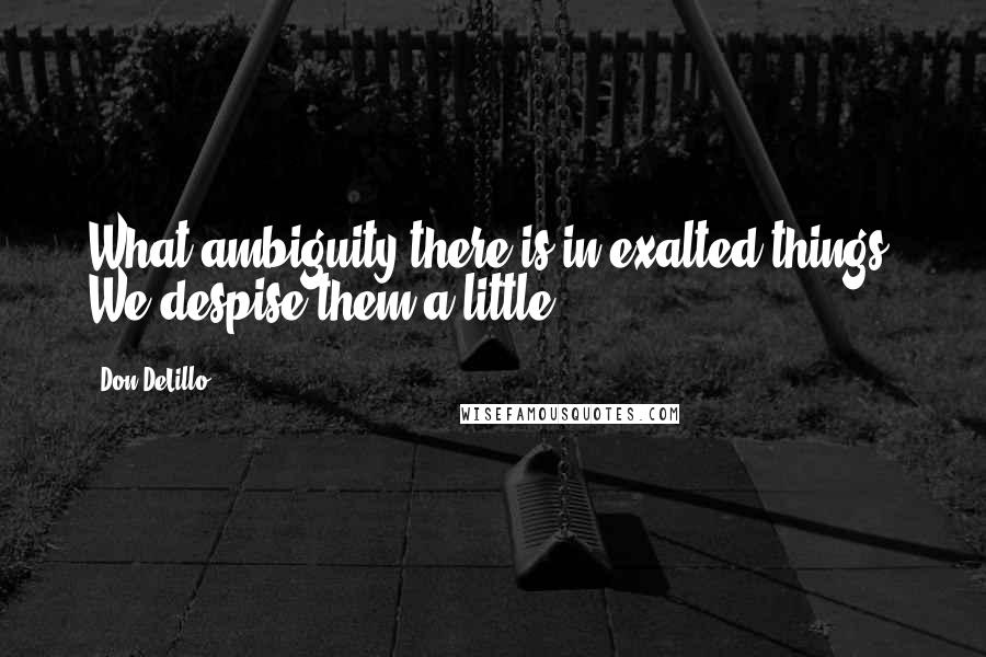 Don DeLillo Quotes: What ambiguity there is in exalted things. We despise them a little.