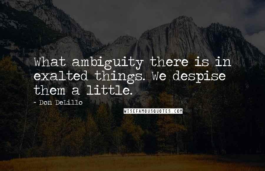 Don DeLillo Quotes: What ambiguity there is in exalted things. We despise them a little.