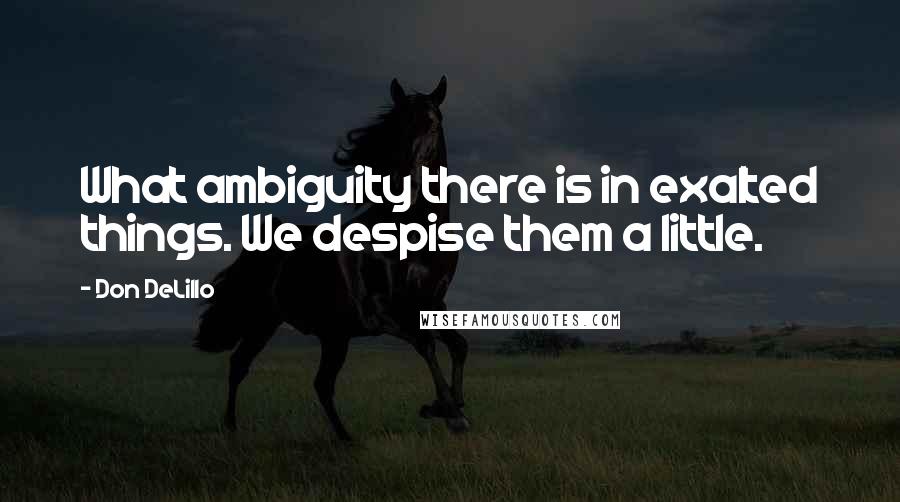 Don DeLillo Quotes: What ambiguity there is in exalted things. We despise them a little.