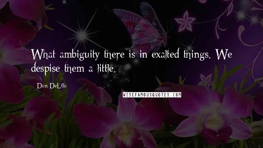 Don DeLillo Quotes: What ambiguity there is in exalted things. We despise them a little.