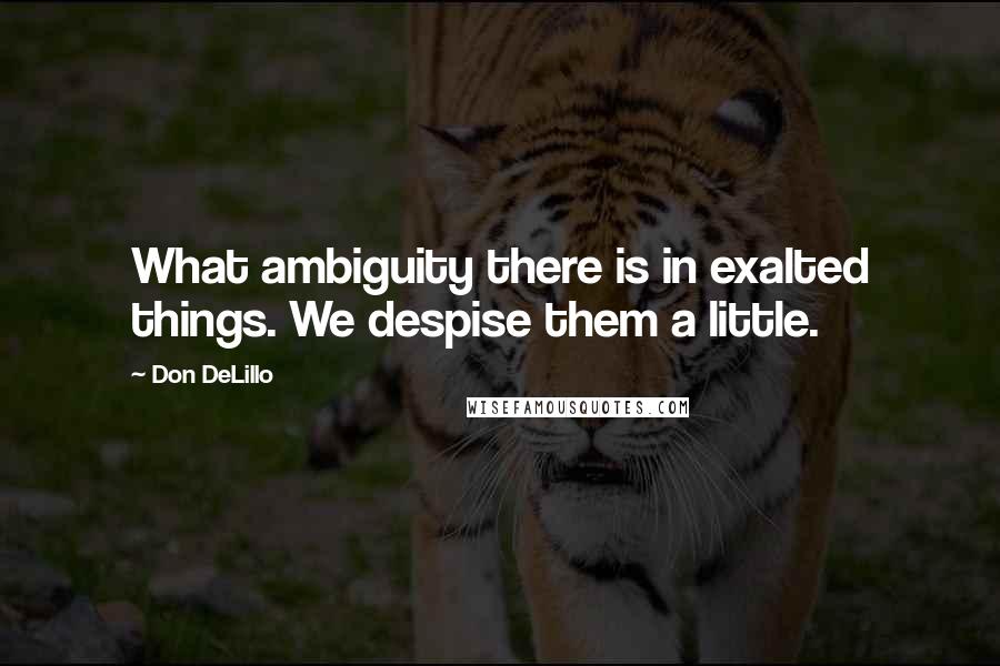 Don DeLillo Quotes: What ambiguity there is in exalted things. We despise them a little.