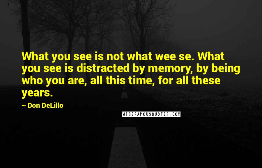 Don DeLillo Quotes: What you see is not what wee se. What you see is distracted by memory, by being who you are, all this time, for all these years.