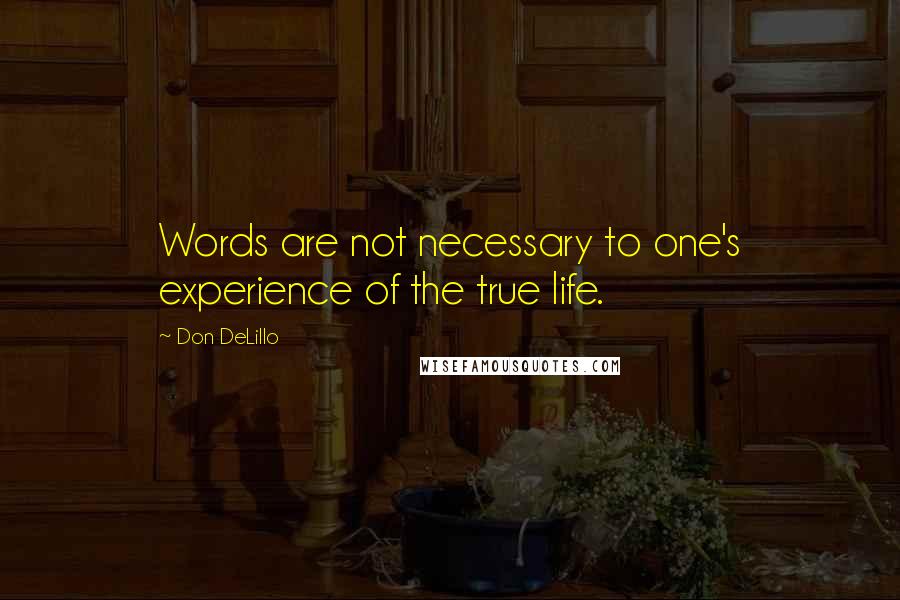 Don DeLillo Quotes: Words are not necessary to one's experience of the true life.