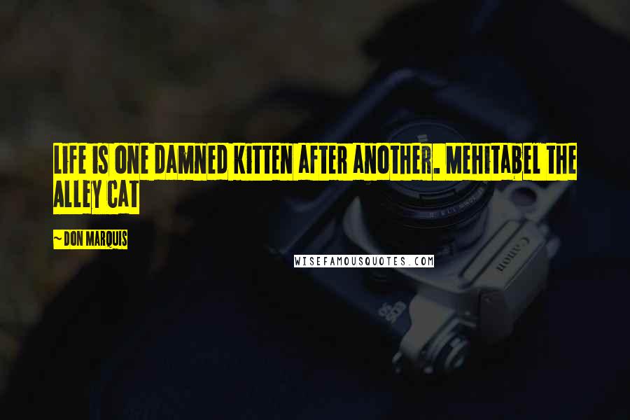 Don Marquis Quotes: Life is one damned kitten after another. Mehitabel the Alley Cat