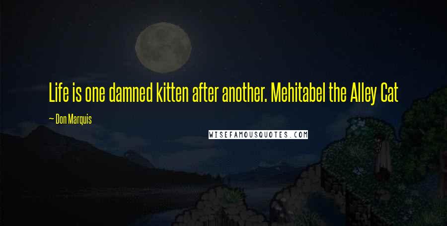 Don Marquis Quotes: Life is one damned kitten after another. Mehitabel the Alley Cat