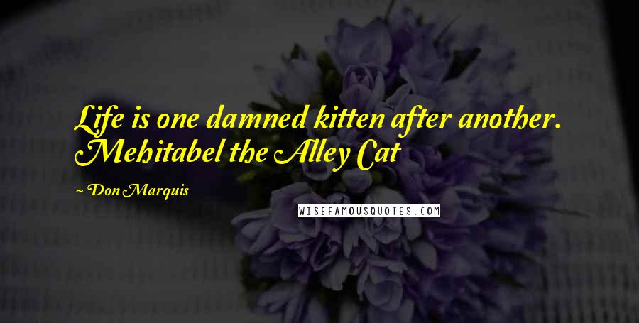 Don Marquis Quotes: Life is one damned kitten after another. Mehitabel the Alley Cat