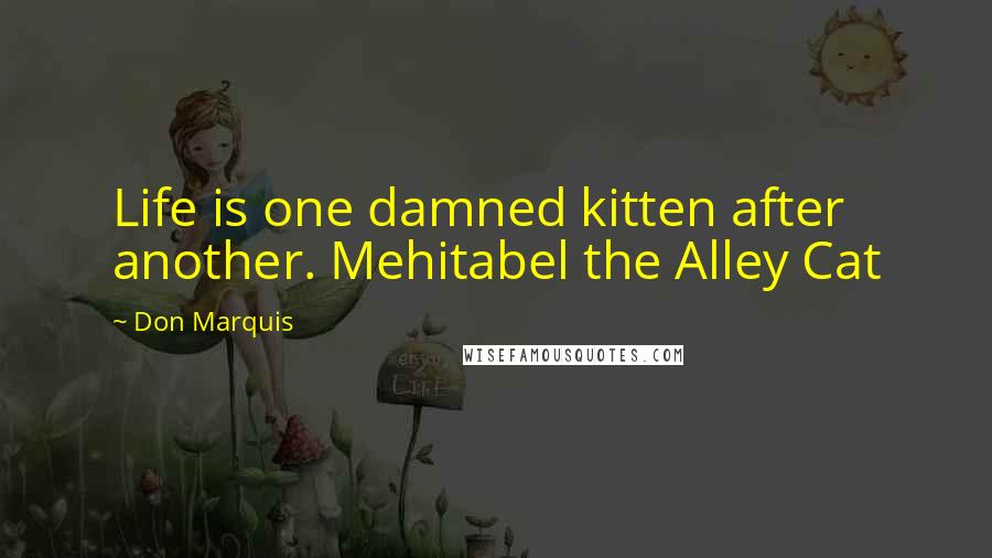 Don Marquis Quotes: Life is one damned kitten after another. Mehitabel the Alley Cat