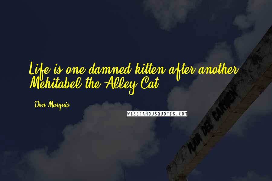 Don Marquis Quotes: Life is one damned kitten after another. Mehitabel the Alley Cat