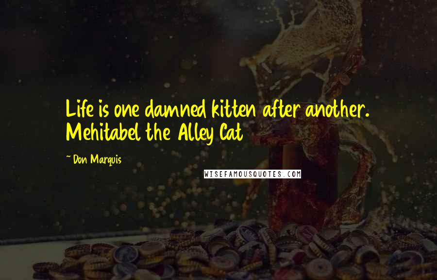 Don Marquis Quotes: Life is one damned kitten after another. Mehitabel the Alley Cat