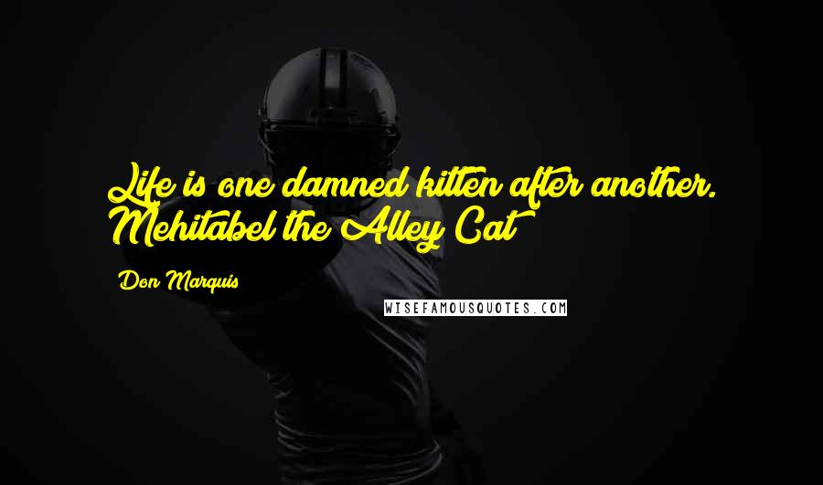 Don Marquis Quotes: Life is one damned kitten after another. Mehitabel the Alley Cat
