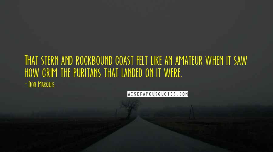 Don Marquis Quotes: That stern and rockbound coast felt like an amateur when it saw how grim the puritans that landed on it were.