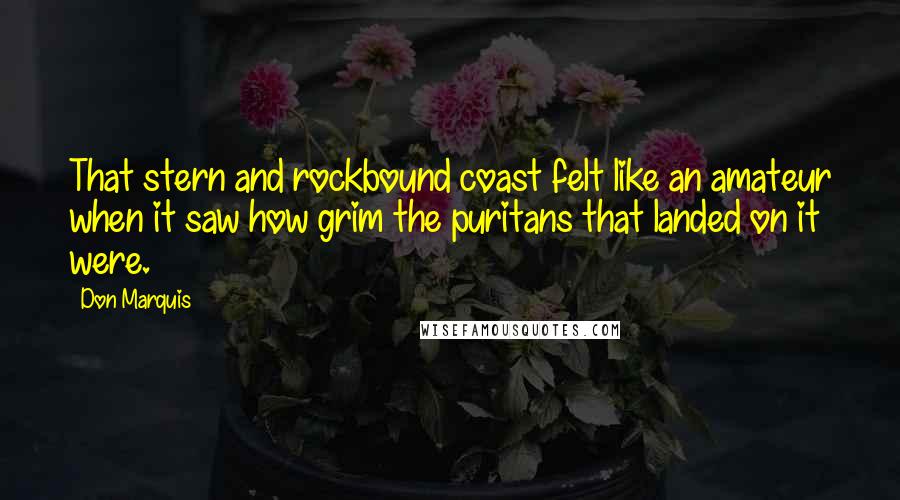 Don Marquis Quotes: That stern and rockbound coast felt like an amateur when it saw how grim the puritans that landed on it were.