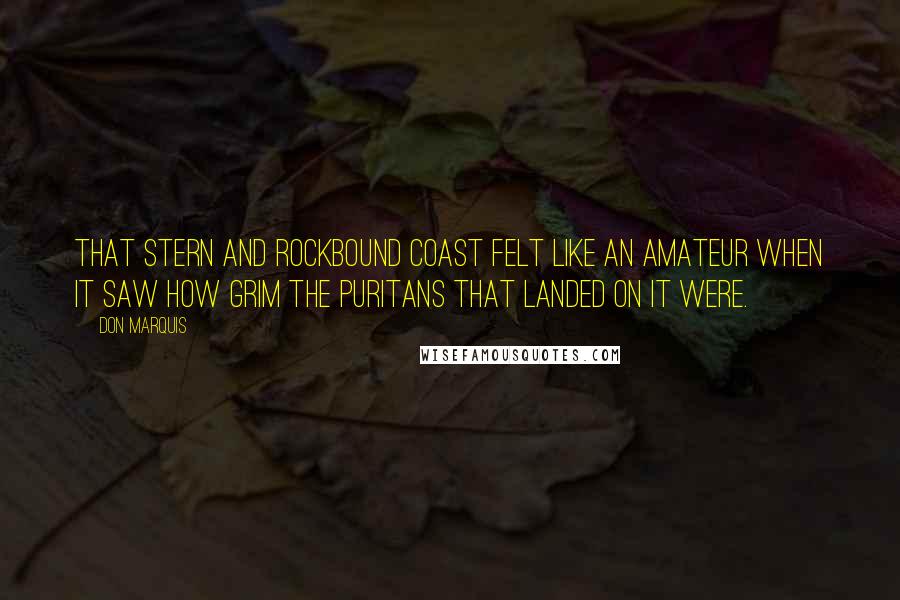Don Marquis Quotes: That stern and rockbound coast felt like an amateur when it saw how grim the puritans that landed on it were.