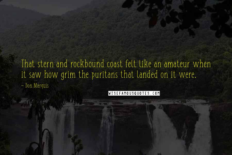 Don Marquis Quotes: That stern and rockbound coast felt like an amateur when it saw how grim the puritans that landed on it were.