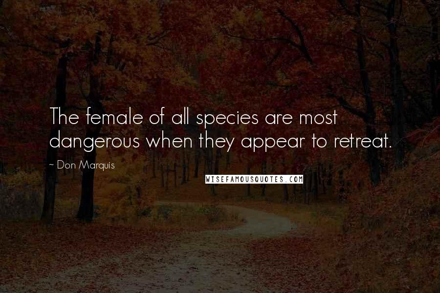 Don Marquis Quotes: The female of all species are most dangerous when they appear to retreat.