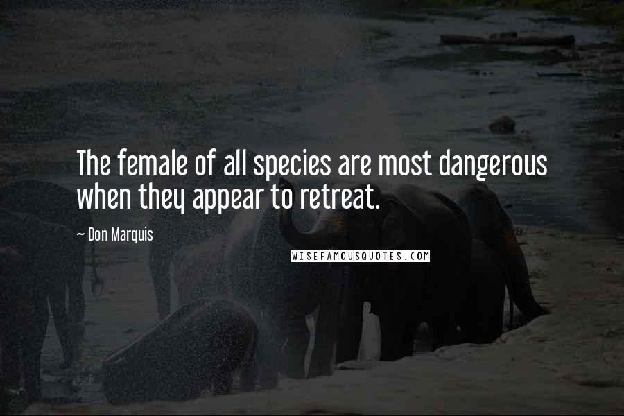 Don Marquis Quotes: The female of all species are most dangerous when they appear to retreat.