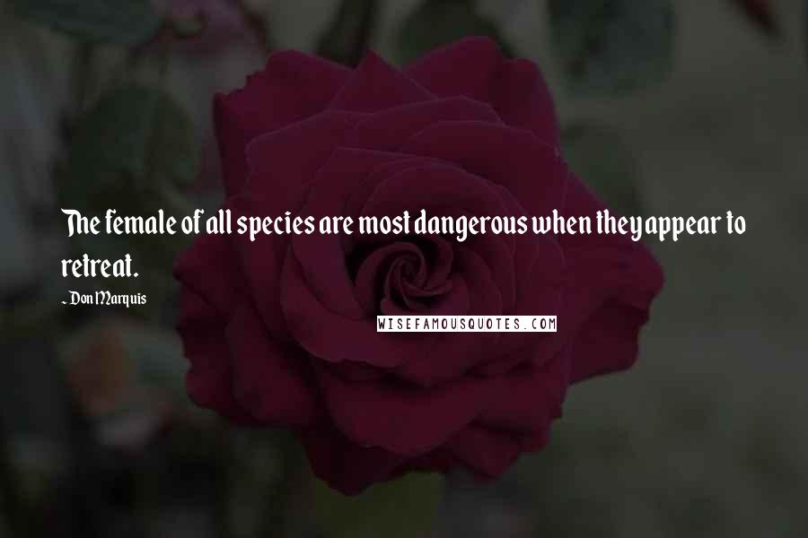 Don Marquis Quotes: The female of all species are most dangerous when they appear to retreat.