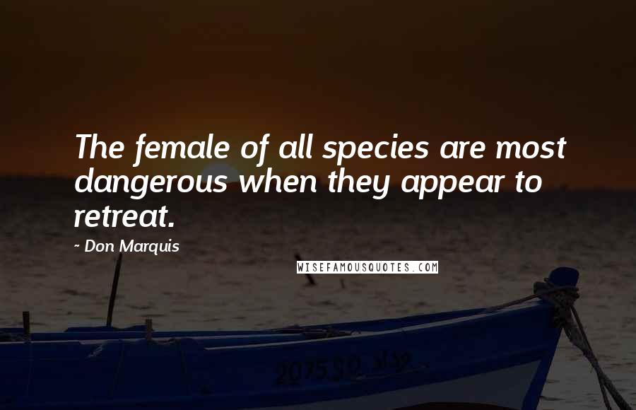 Don Marquis Quotes: The female of all species are most dangerous when they appear to retreat.