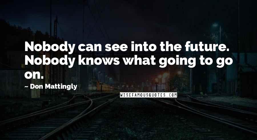 Don Mattingly Quotes: Nobody can see into the future. Nobody knows what going to go on.