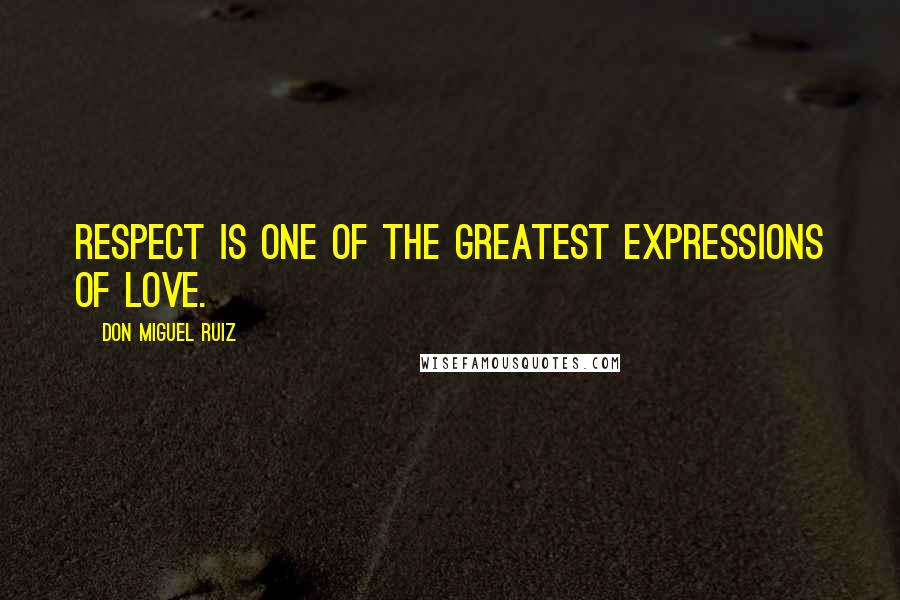 Don Miguel Ruiz Quotes: Respect is one of the greatest expressions of love.