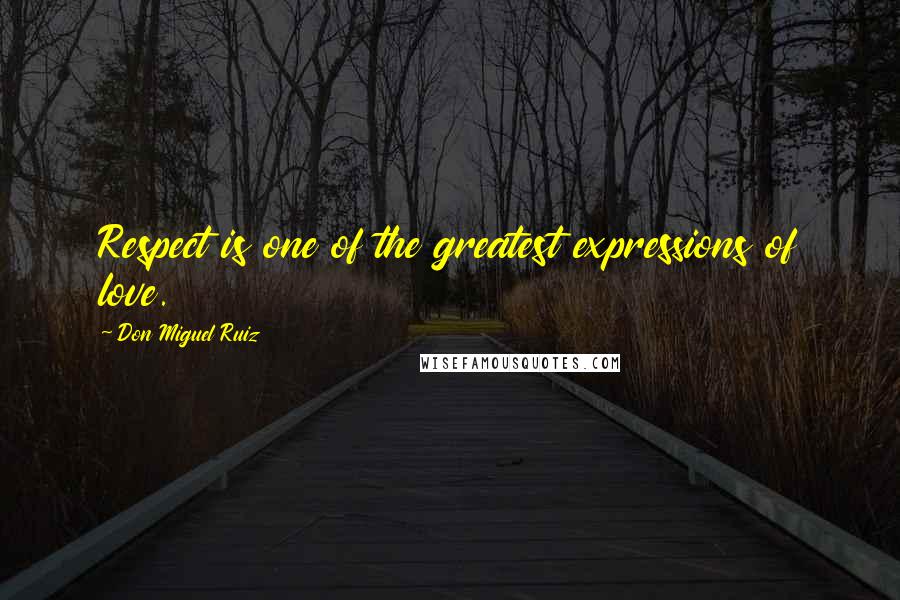 Don Miguel Ruiz Quotes: Respect is one of the greatest expressions of love.