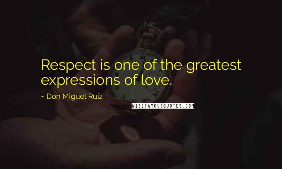 Don Miguel Ruiz Quotes: Respect is one of the greatest expressions of love.