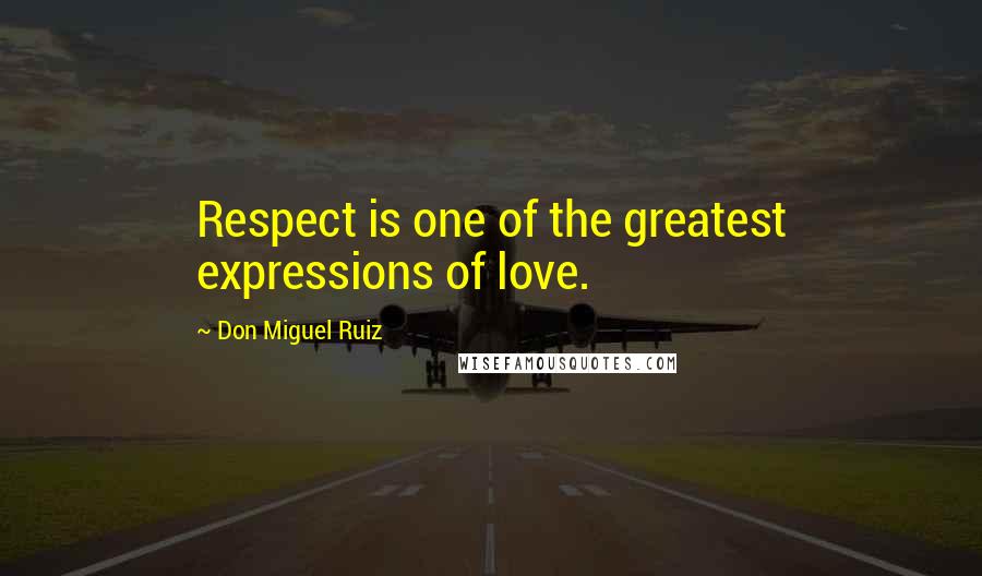 Don Miguel Ruiz Quotes: Respect is one of the greatest expressions of love.