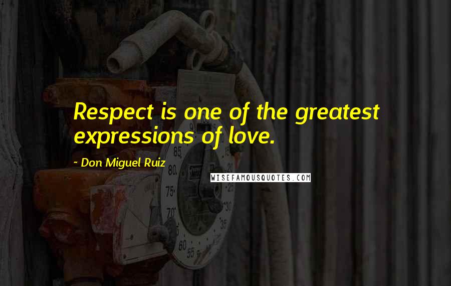 Don Miguel Ruiz Quotes: Respect is one of the greatest expressions of love.