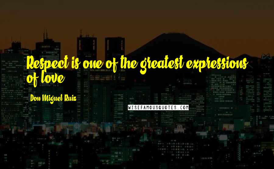 Don Miguel Ruiz Quotes: Respect is one of the greatest expressions of love.