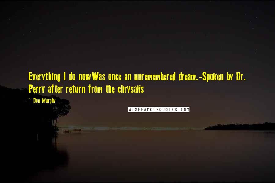 Don Murphy Quotes: Everything I do nowWas once an unremembered dream.-Spoken by Dr. Perry after return from the chrysalis