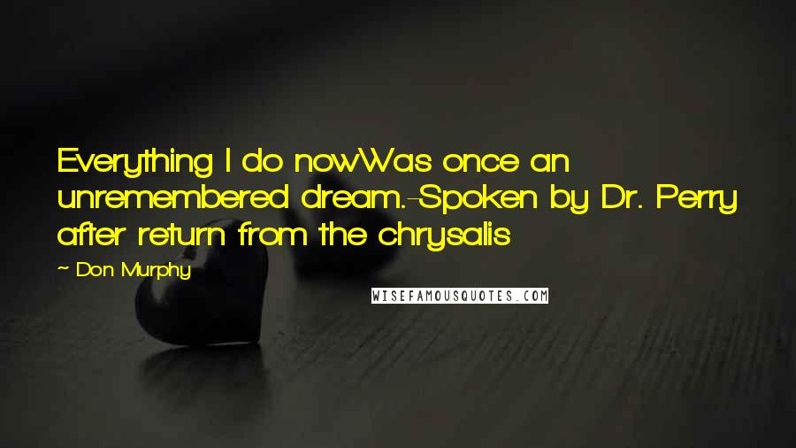 Don Murphy Quotes: Everything I do nowWas once an unremembered dream.-Spoken by Dr. Perry after return from the chrysalis