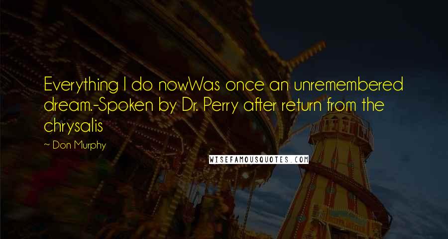 Don Murphy Quotes: Everything I do nowWas once an unremembered dream.-Spoken by Dr. Perry after return from the chrysalis