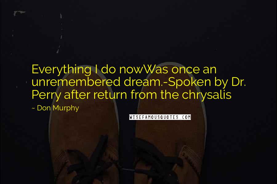 Don Murphy Quotes: Everything I do nowWas once an unremembered dream.-Spoken by Dr. Perry after return from the chrysalis