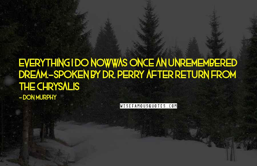 Don Murphy Quotes: Everything I do nowWas once an unremembered dream.-Spoken by Dr. Perry after return from the chrysalis