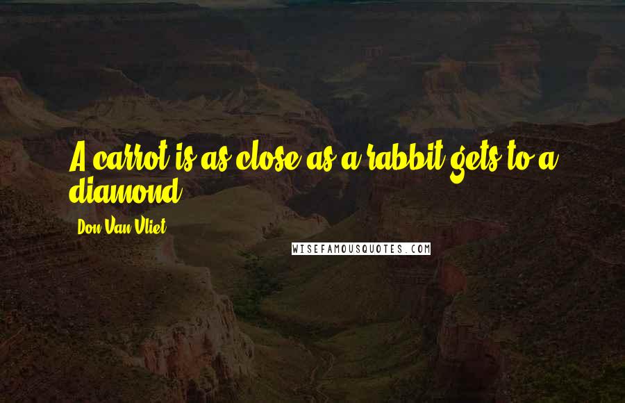 Don Van Vliet Quotes: A carrot is as close as a rabbit gets to a diamond.