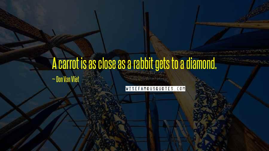 Don Van Vliet Quotes: A carrot is as close as a rabbit gets to a diamond.