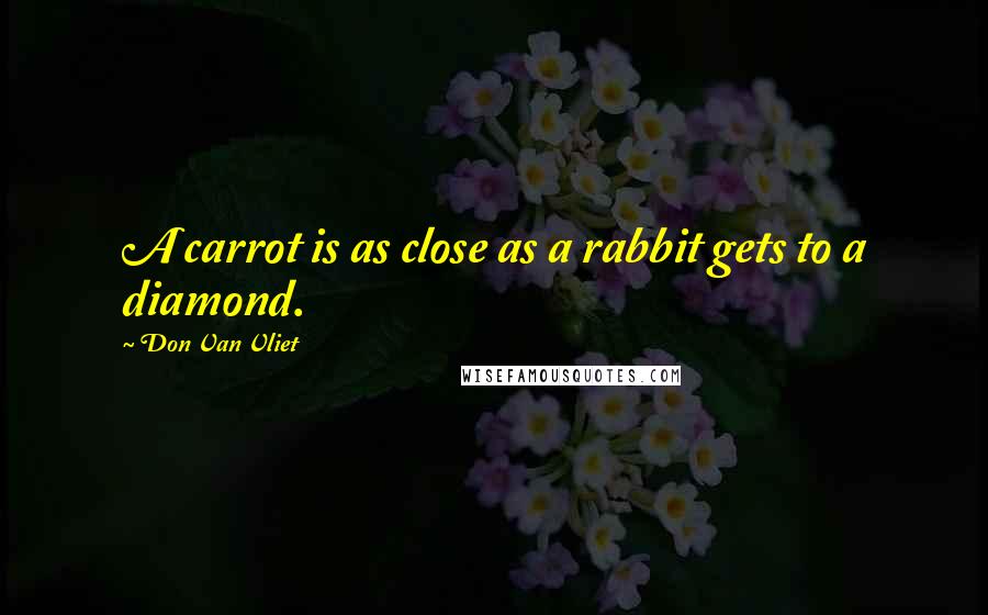 Don Van Vliet Quotes: A carrot is as close as a rabbit gets to a diamond.