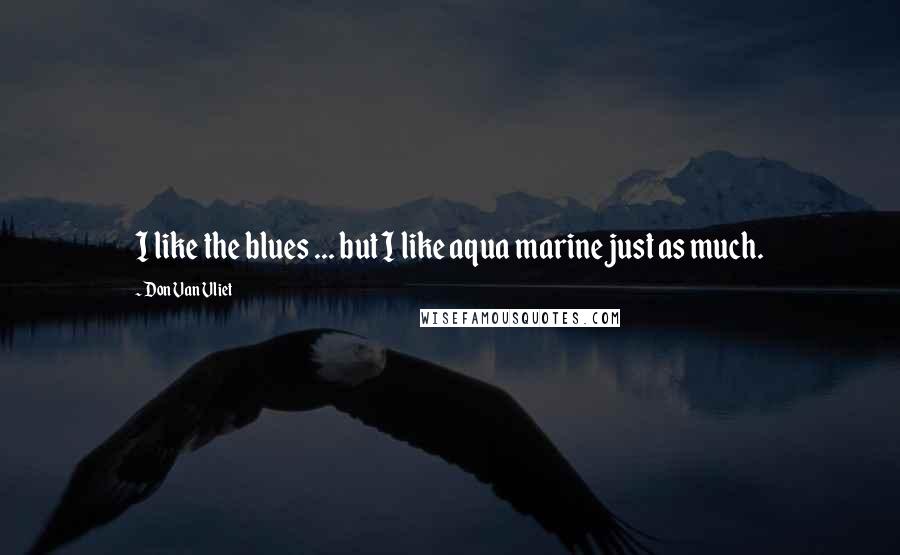 Don Van Vliet Quotes: I like the blues ... but I like aqua marine just as much.